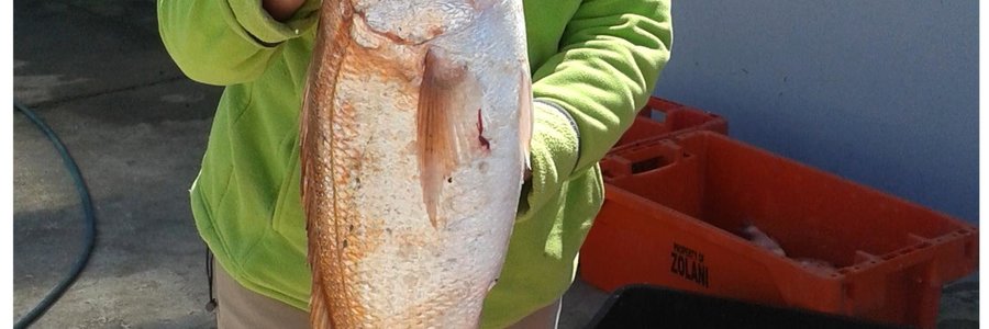 Woensdag het Dixie Walsh die manne lelik laat les opsê toe sy hierdie mooi silwervis van 3.25 kg. vanaf die boot Releks 2 gevang het. Dit sê sy, gaan beslis in haar “bragboek” ‘n ereplek kry. Mooi, so!